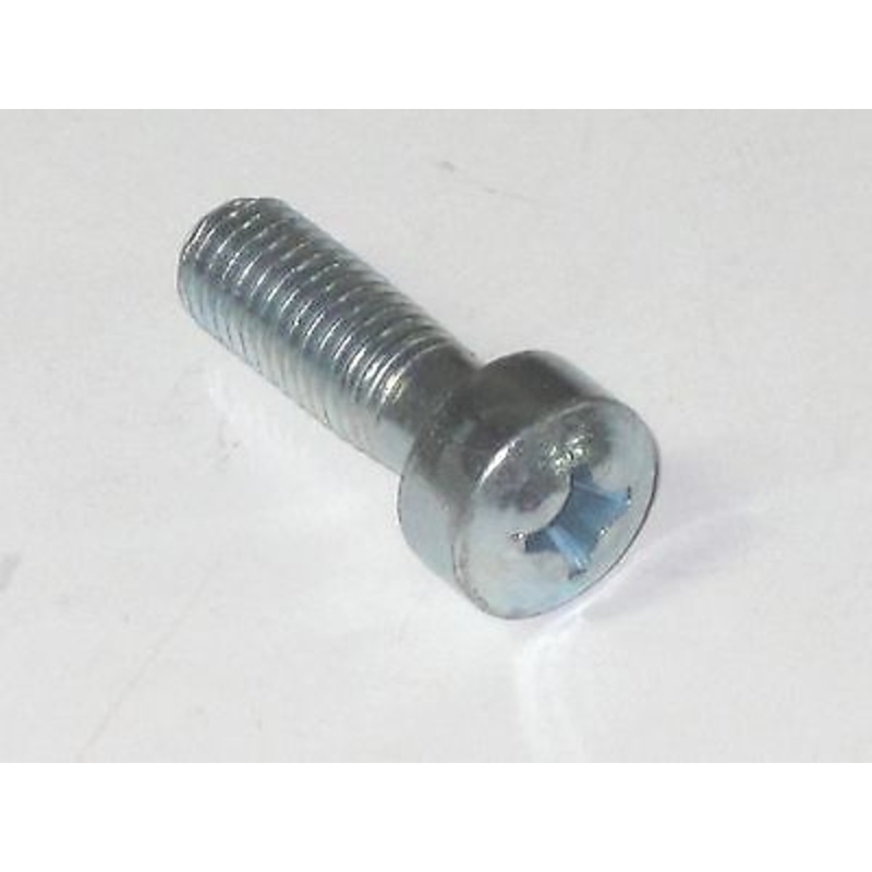 Triumph 70-4806 UK Made screw pan head  Posidrive phillips