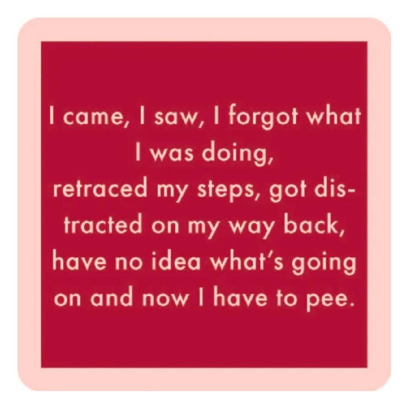 I Came, I Saw Coaster