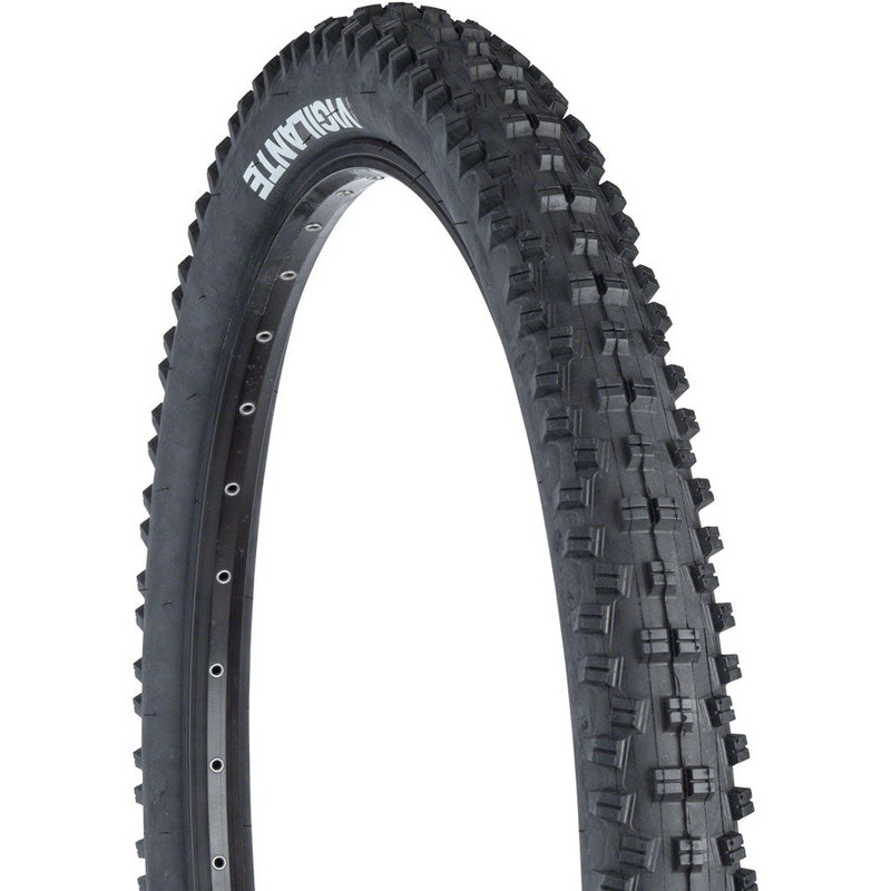 WTB Vigilante Tire – 26 x 2.3 Clincher, Wire, Black