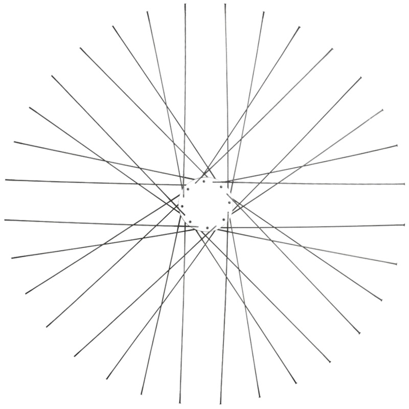 Race Butted Spokes (Wheelset) Black